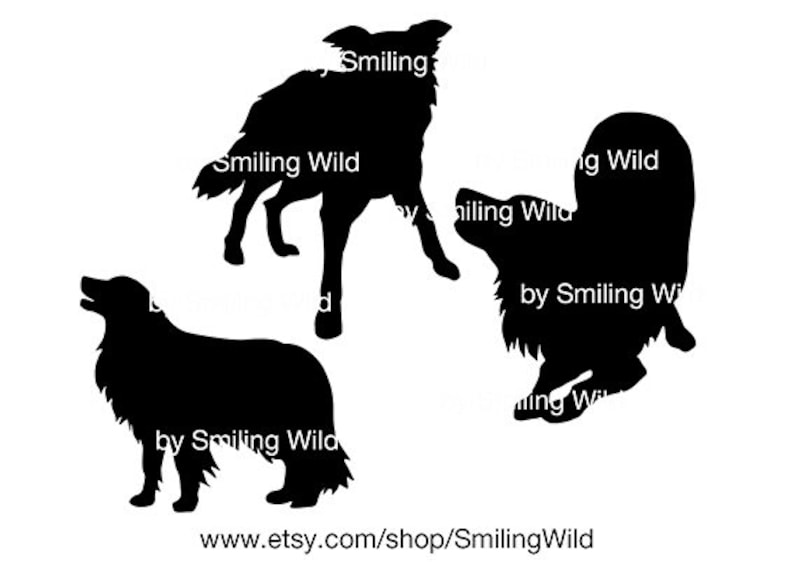 Download Border Collie 02 svg dog clipart cut file cricut Border ...