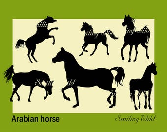 Arabian horse stallion svg silhouette clipart cutout horse art arwork breed printable stallion download commercial mighty stallion design