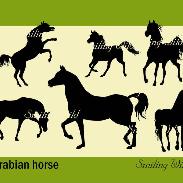 Arabian horse stallion svg silhouette clipart cutout horse art arwork breed printable stallion download commercial mighty stallion design