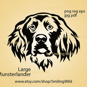 Grote Munsterlander SVG PNG hoofd portret jachthond vector grafische kunst clipart Munsterlander gesneden bestand Graveerbare cricut digitaal ontwerp