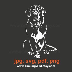 Berner Sennenhund SVG & PNG sitzende Grafikdateien | Hütehund weiß Clipart digitaler Download für Cricut Projekte | vektor Laserschnitt