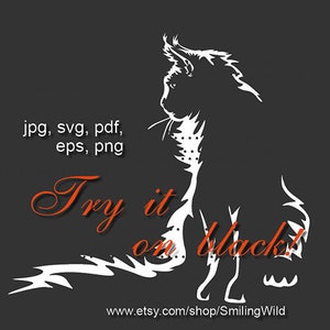 Chat Maine Coon clipart SVG & PNG - art graphique vectoriel chat blanc pour Cricut et laser - Silhouette de chat dans la nuit sombre coupe fichier design