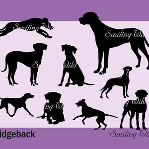 Rhodesian Ridgeback dog  svg & png silhouette bundle clipart printable vector graphic file, instant download commercial use digital cutout