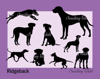 Rhodesian Ridgeback SVG & PNG Vector Silhouette Bundle, Dog Clipart Graphic (Digital Download)