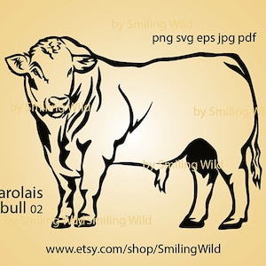 Charolais taureau svg bovins vector art graphique charolais coupe fichier cricut ferme animaux svg conception charolais clipart numérique