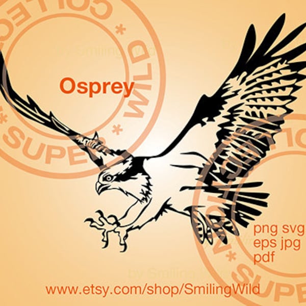 Osprey svg clipart vector graphic art flying bird of prey cut file cricut cuttable osprey hawk hunting bird falconry svg