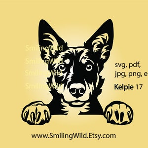 Australische Kelpie svg & png hond vector grafische kunst, gluren Kelpie clipart lasergesneden bestand Graveerbare schattige hond cricut digitaal ontwerp