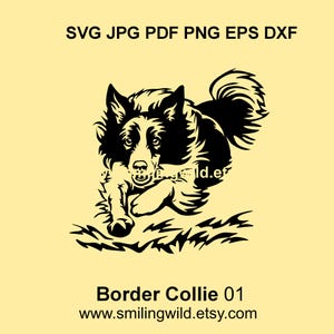 Bordercollie hoeden SVG & PNG, DXF – Realistische rennende hond hoektanden clipart Vectorafbeelding voor Cricut, lasersnijden - Instant Download