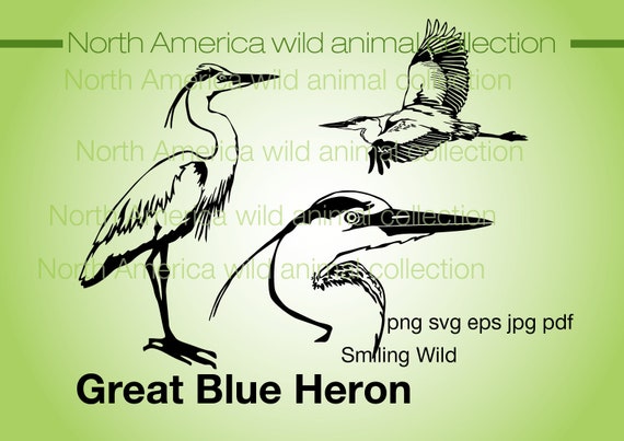 Night Heron Poster-SVG file