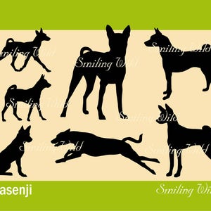 Basenji Dog SVG & PNG silhouette clipart bundle - running dog vector graphic file commercial use instant download printable art cuttable