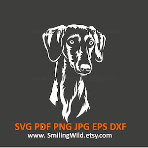 Gladde Saluki SVG PNG DXF-clipart – realistische hondenkop vector hoektand grafisch snijden en graveren ontwerp - Cricut, laser - directe download