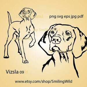 Vizsla Hund svg png Vektorgrafik-Porträt Vizsla Clipart Schneidedatei Hund schneidbares Logo Cricut digitales Design