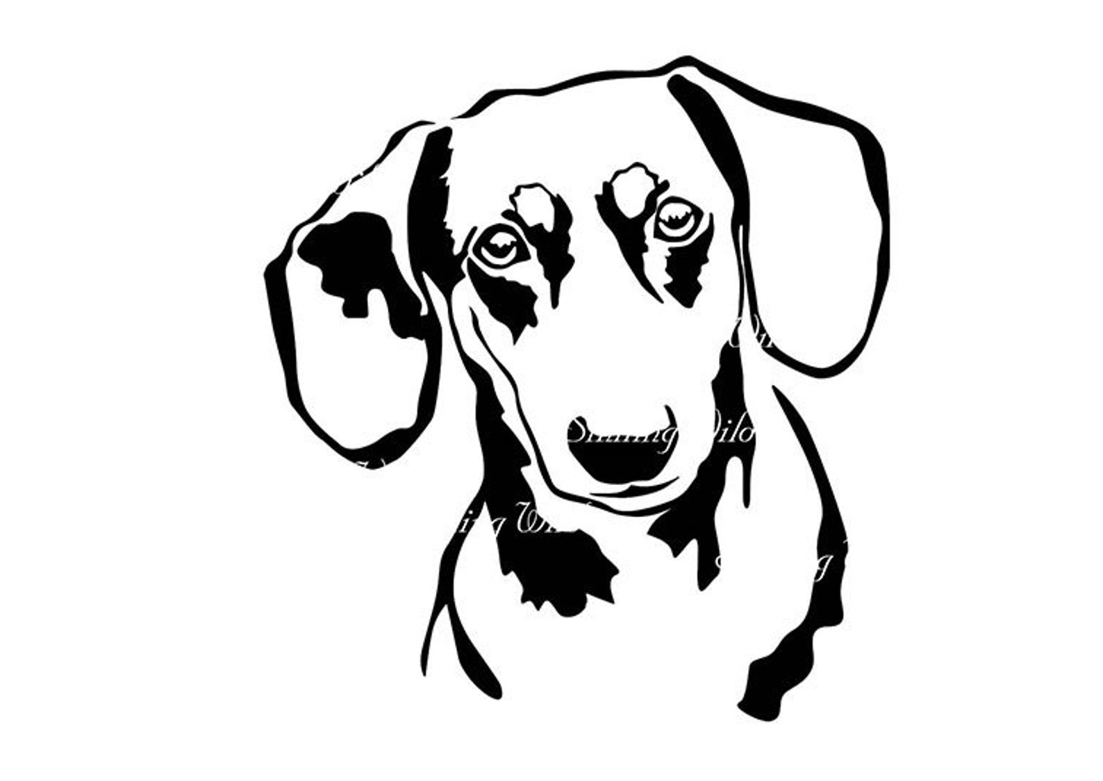 Dachshund portrait svg peeking dog vector graphic art | Etsy