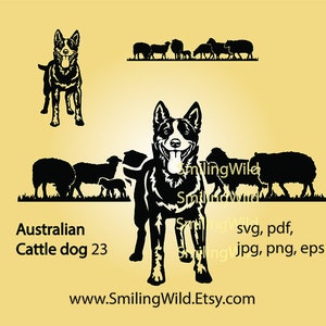 Australian Cattle Dog Herding SVG & PNG Vector art, Blue Heeler Clip Art (Digital File)