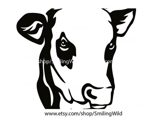 Simmental Cattle Svg Vector Graphic Portrait Simmental Cow
