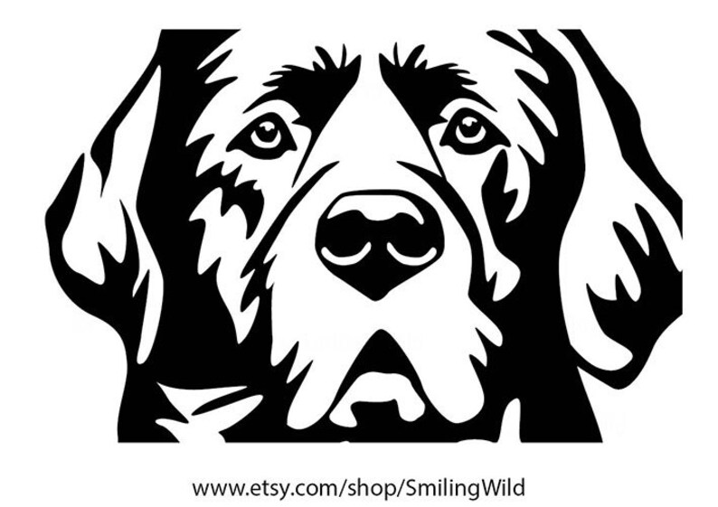 Black Labrador Retriever 07 svg portrait dog vector graphic Etsy