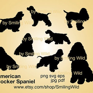 Clipart di Cocker Spaniel americano in formato SVG, silhouette, file di taglio, tagliabile, cricut, grafica vettoriale di Cocker Spaniel americano, opera d'arte, design digitale