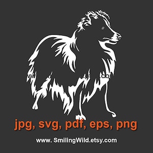 Schattige Sheltie svg & png hond witte clipart Shetland Sheepdog-bestand | honden clipart | hondenafbeeldingen voor Cricut-, Sihouette- en lasergesneden bestanden
