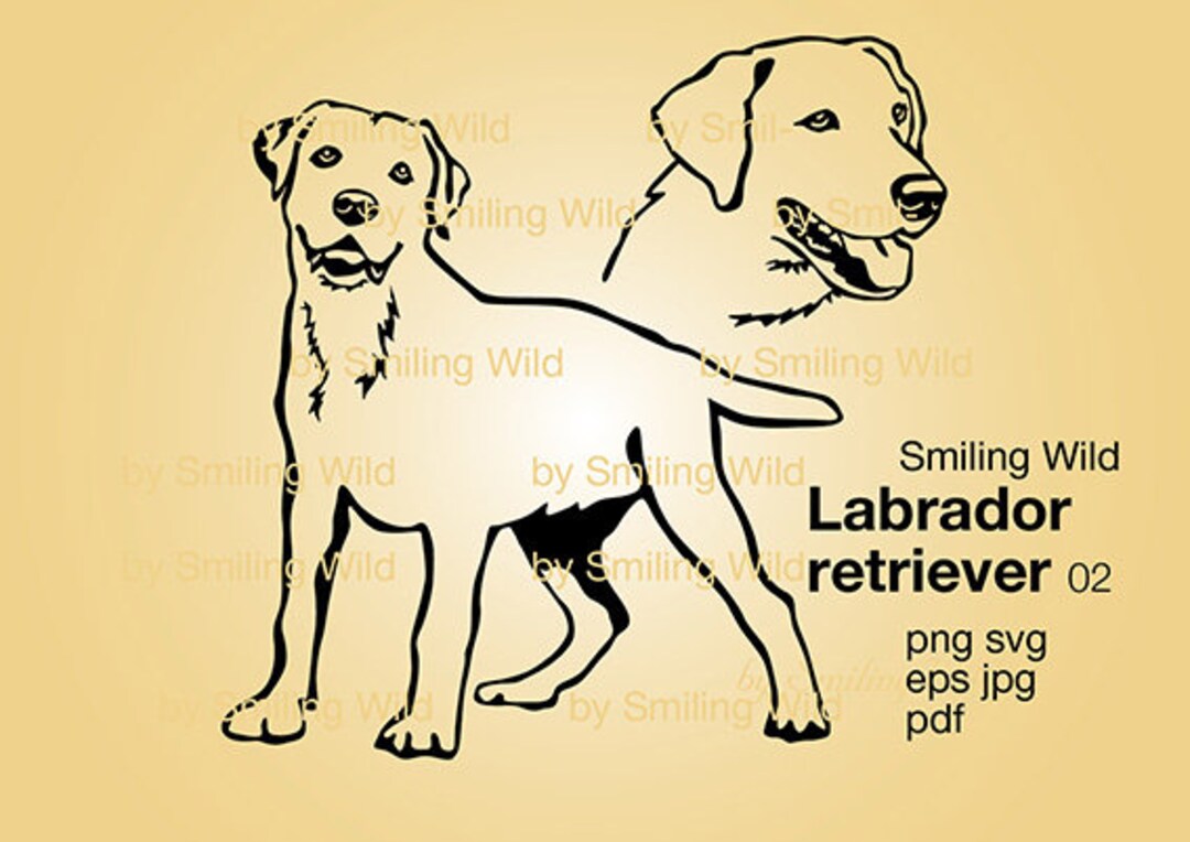 Labrador Retriever Dog Svg Cut File Lab Clipart Vector Graphic - Etsy
