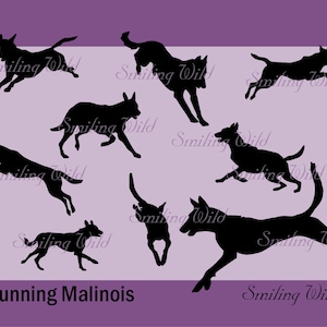 Running malionois dog svg clipart cut file jumping dog malinois agility cuttable silhouette printable vector graphic art