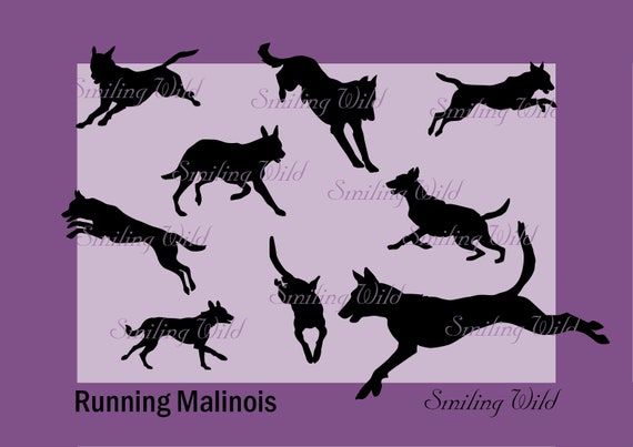 Download Running Malionois Dog Svg Clipart Cut File Jumping Dog Etsy Yellowimages Mockups