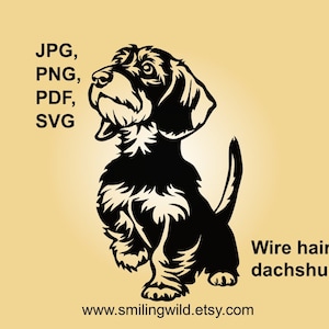 Drahthaardackel svg & png schneidbare Clip Art, Dackel Vektorgrafik