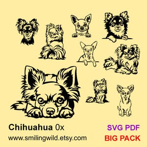 Chihuahua GROTE bundel SVG PDF-clipart vectorafbeeldingen grafische bestanden - hoofdgedeelte, portret, gluren - Cricut, lasersnijden, Instant Download