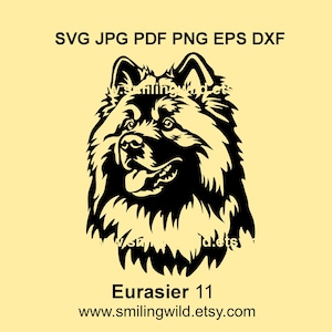 Eurasier hoofd SVG & PNG, DXF-clipart voor directe download – Realistische hond hond vector grafisch ontwerp voor Cricut, lasersnijden