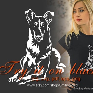 Smooth Collie SVG bianco grafica vettoriale testa di cane clip art design, file di taglio digitale tagliabile Smooth Collie