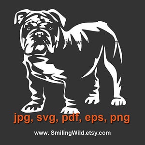 Englische Bulldogge svg Schnitt in Weiß Druck auf Schwarz /bmc03/ Bulldogge niedlicher Hund Laser-Schnittdatei schneidbar Cricut Vektorgrafik Bulldogge digital
