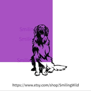 Sitting Hovawart dog svg clip art illustration, Hovawart cuttable vector graphic, Hovawart digital design cut file image 2