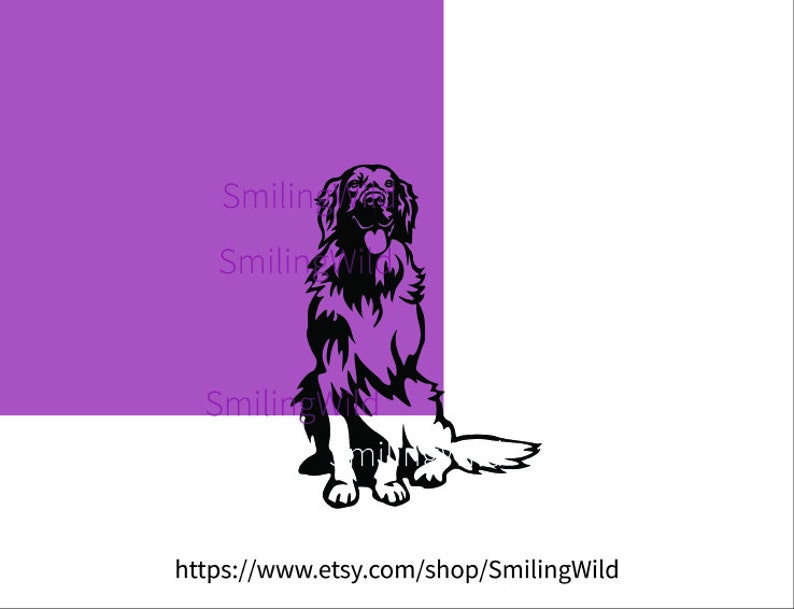 Sitting Hovawart dog svg clip art illustration, Hovawart cuttable vector graphic, Hovawart digital design cut file image 2