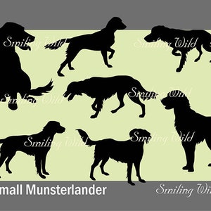 Piccola silhouette di Munsterlander in formato SVG, PNG, Munsterlander, ritaglio digitale, cane, clipart, design, arte, grafica vettoriale di Munsterlander, download