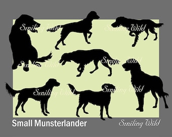 Small Munsterlander Silhouette Bundle: Dog Clipart Vector (SVG PNG DXF)