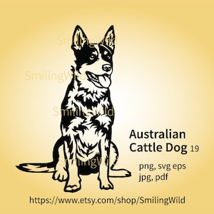 Ritratto di cane da bestiame australiano in formato SVG, grafica vettoriale, Blue Heeler, file di taglio laser, cricut, tagliabile, cane da bestiame seduto, opera d'arte digitale