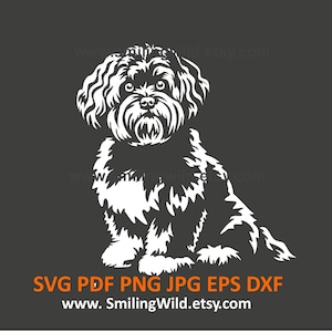 Schattige Bolonka Zwetna SVG PNG DXF - realistische hond witte vectorclipart voor logo kunst - Honden grafisch, Doe het zelf knutselen, Cricut en Lasersnijden