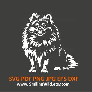 Realistischer Spitz Spitz Clipart SVG PNG DXF - niedlicher sitzender Hund Vektorgrafikdesign - DIY Crafts Cricut, Glowforge, Silhouette, Laser