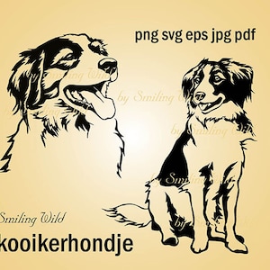 Kooikerhondje svg Kooiker Clipart png Hundeportrait Kunst Kooiker druckbare sofortiger Download Digital Design Kunstwerk Hund schneidbar Spaniel Kunst
