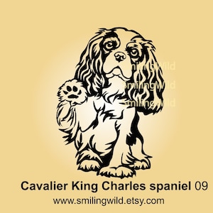 Zittende King Charles-spaniël svg-portret met opgeheven poot