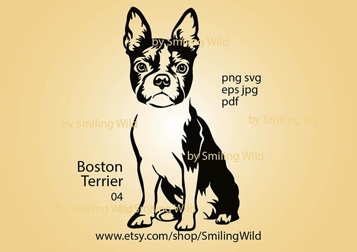 Boston Terrier Visage Coupe Biscuit Mignon Chien Portrait Treats Américain 