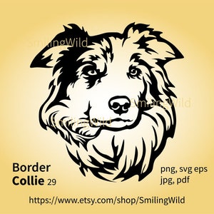 Merle Border Collie Svg Face Dog Vector Graphic Illustration - Etsy
