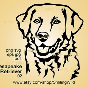 Portrait de chien svg Chesapeake Bay Retriever coupe fichier cricut art graphique vectoriel t shirt design Tête de chien design numérique Chesapeake Bay Retriever