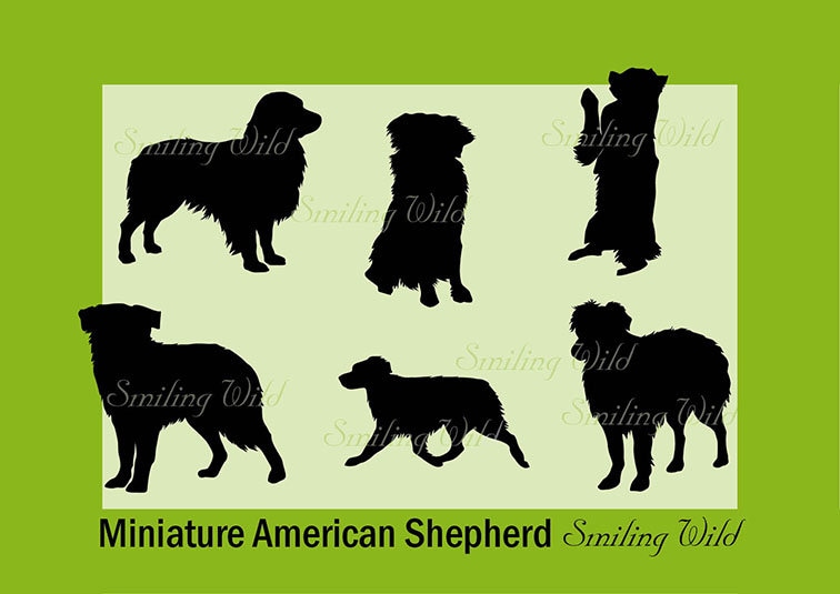 Miniature American Shepherd Quarantine Dog Art Print 8 x 10 Mini Aussie by KSams 