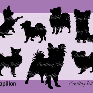 Silueta de perro Papillon (SVG), clipart imprimible, ilustración vectorial de perro Papillon, archivo PNG para scrapbooking, archivo recortable