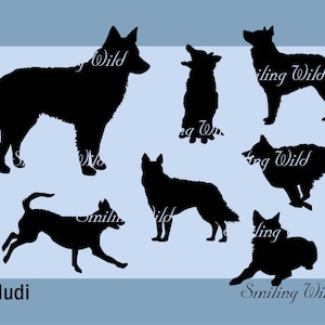 mudi dog svg silhouette running dog clipart printable vector graphic art hungarian mudi instant download png file commercial use digital