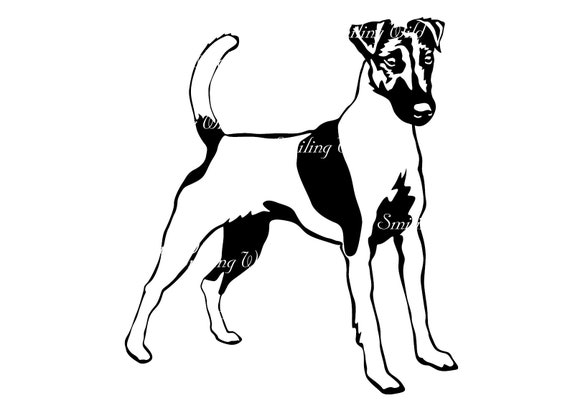 Smooth Fox Terrier Umbrella Smooth Fox Terrier Umbrella