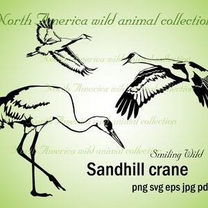 カナダヅルの鳥のアート SVG クリップアート バンドル - ベクター グラフィック 北米の鳥のアート PNG カナダヅルの印刷可能なカットファイル カット可能