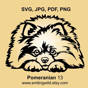 Pommern Spitz svg & png Clipart Porträt - spähende Hund Vektorgrafik - einzigartiges Haustierporträt eines Spielzeughundes - Laserschneiden und Cricut