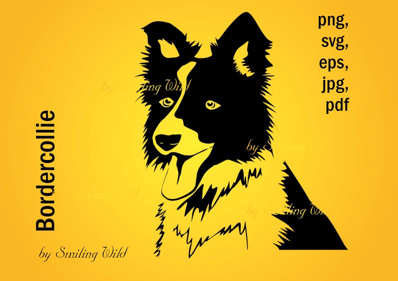 Download Border collie png vector graphic art svg silhouette | Etsy