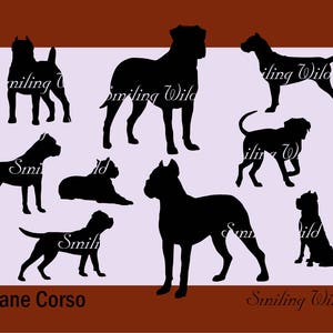 Cane corso arte svg silhouette cane corso stampabile png clipart ritaglio vettoriale grafica arte uso commerciale download immediato regalo per amanti dei cani